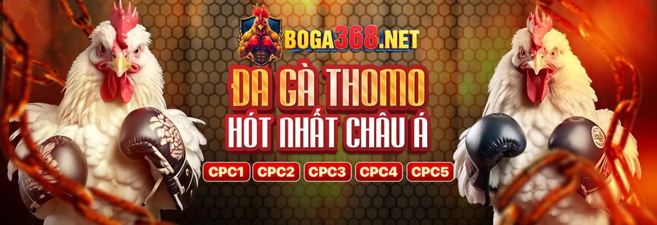 Đá Gà Trực Tiếp Sam86